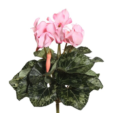 Vickerman Light Pink Cyclamen X8 Floral Bush - 11 in. FL170703