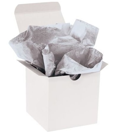 Bubblefast 200 20 x 30'' Metallic Silver Gift Grade Tissue Paper BFT2030JJ