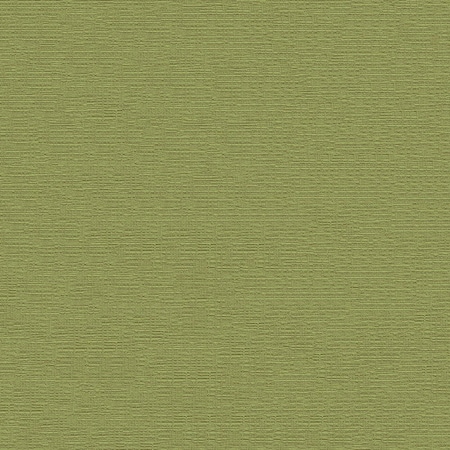 Abbeyshea Chartreuse, Woven Plain, 1 Yard L, 55 in W DEVIN2008