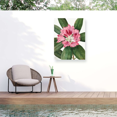 Trademark Fine Art Outdoor Canvas Art Mary Vaux Walcott 'Mountain Rose Bay' Wall Art for Patios, or Gardens 1X27411-OC1419WR