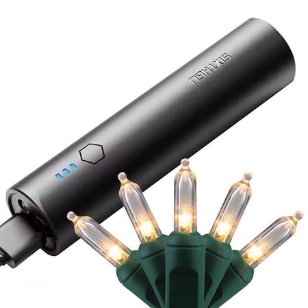 Celebrations Platinum LED T5 Clear/Warm White 50 ct String Smart-Enabled Christmas Lights 16.6 ft. CPT550WWA