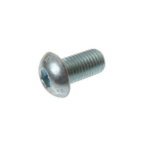 Raymond REPLACEMENT SCREW, BUTTON SOCKET CAP 223-001-569-E19