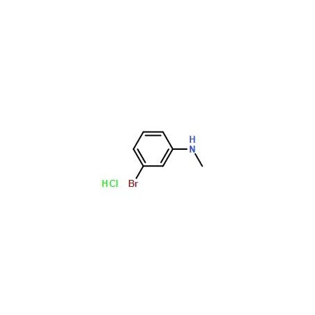 Ak Scientific N-Methyl 3-bromoaniline HCl (1g), CAS 152814-26-1 V3482-1g