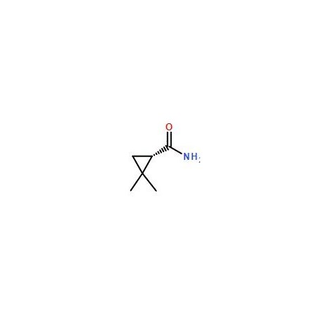 Ak Scientific (S)-(+)-2, 2-Dimethylcyclopropanecarboxamide (25g), CAS 75885-58-4 K301-25g