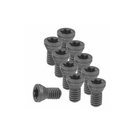 Garant Set of Insert Screws, 10 Pieces 219840