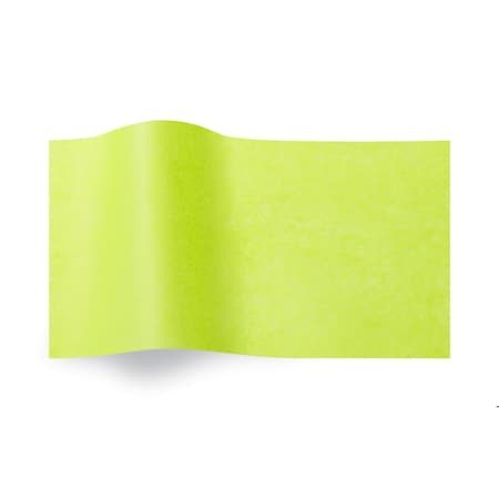 Seaman Paper 20X30 Pistachio Paper, 480PK 20300520