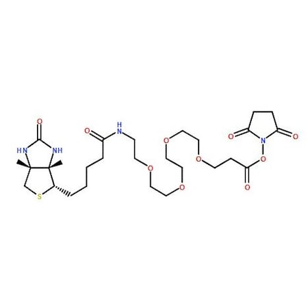Ak Scientific Biotin-PEG4-NHS ester (100mg), CAS 459426-22-3 6188AH-100mg