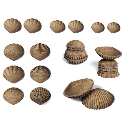 Endless Games Tactile Shells - Eco-Friendly EN2966364