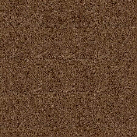 Abbeyshea Amber, Polyurethane Coated Faux Leather Fabric, 9 in L, 9 in W BALDW8009M9X9