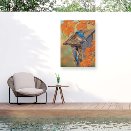 Trademark Fine Art Outdoor Canvas Art Jeff Hoff 'Sugar Maple Blues' Wall Art for Patios, or Gardens GRL01698-OC3547WR