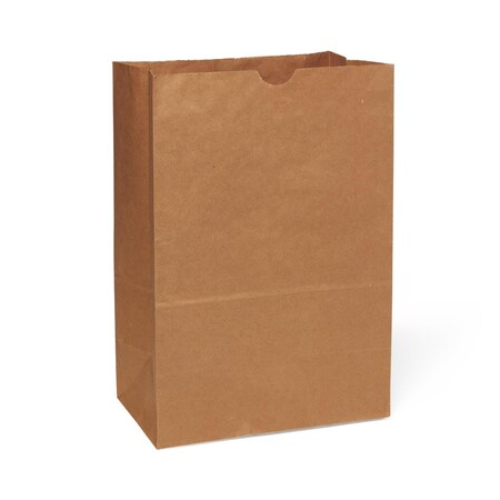 Medline Brown Paper Bag, #1/6BBL, 12in x 7in x 17in, 500PK NONBPB16BBL