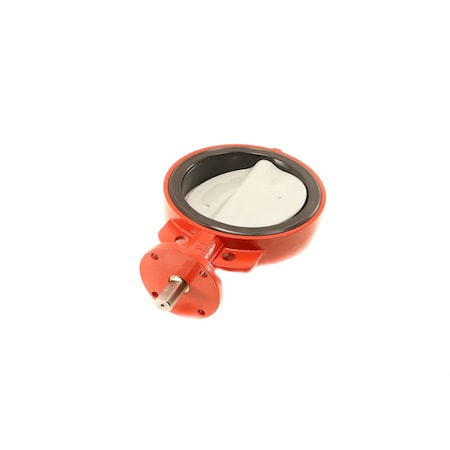 Bray 10 in. WaferBflCIvlvEPDMseatSSstem 301000-11010119