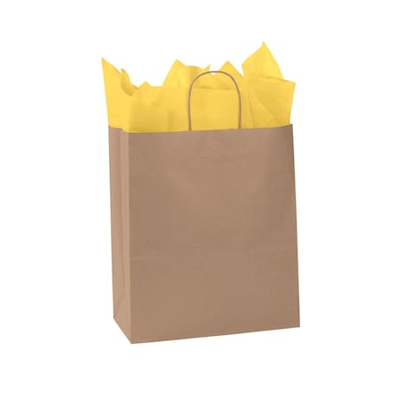 Store Supply Warehouse Extra Large (Traveler) - Kraft Paper Shopping Bags, 250PK 92122