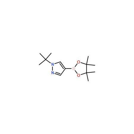 Ak Scientific 1-t-Butylpyrazole-4-boronic acid pinacol ester (25g), CAS 1256359-15-5 Z8938-25g