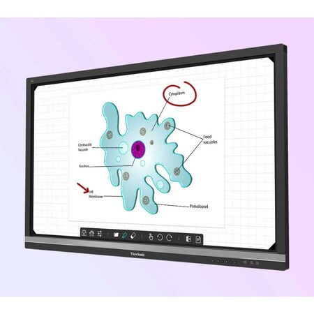 Viewsonic ViewBoard bundle includes the following items: - ViewBoard IFP6550 4K Interactive display - IFP6550-E2
