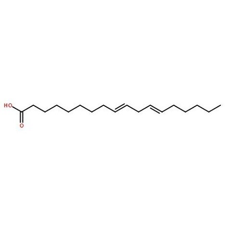 Ak Scientific Linoelaidic acid 100mg in 200ul Ethanol solution (1g), CAS 506-21-8 1831AH-1g