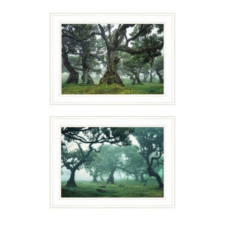 Homeroots Set Of Two Enchanted Forest 1 White Framed Print Wall Art, 2PK 408031