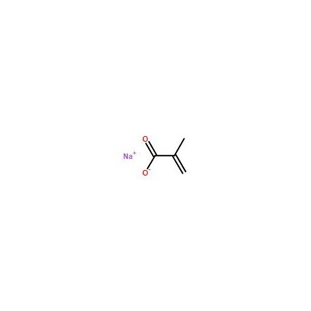 Ak Scientific Sodium methacrylate, stabilized with MEHQ (25g), CAS 5536-61-8 O099-25g