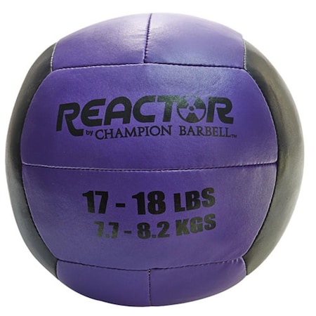 Konika Exports 17 - 18 lbs Medicine Ball, Purple 1377213