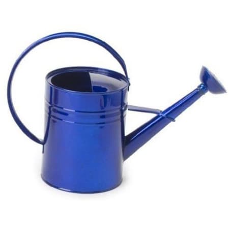 Superherostuff 1 gal Enameled Galvanized Steel Watering Can with Removable Rosette, Glazed Blue PA2994859