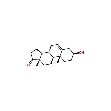 Ak Scientific DHEA (250g), CAS 53-43-0 F793-250g