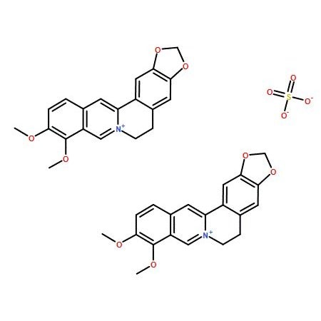 Ak Scientific Berberine sulfate (1g), CAS 316-41-6 9598AJ-1g