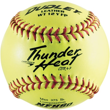 Powerhouse Dudley WT12Y-FP 12 Inch FastPitch Softball PO3337923