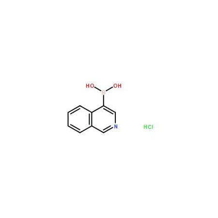 Ak Scientific Isoquinoline-4-boronic acid hydrochloride (100g), CAS 677702-23-7 V5010-100g