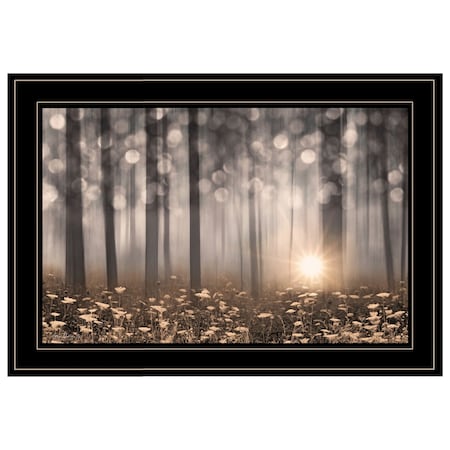 Homeroots Enchanted Morning 2 Black Framed Print Wall Art 405027