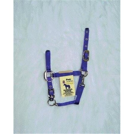 Hamilton Halter Co - Adjustable Chin Halter With Snap- Purple Pony - 3DAS POPU 349860