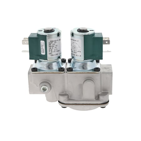 Baso 1/2 in. REDUNDANT GAS VLV 24V G96HGA-4C REVB