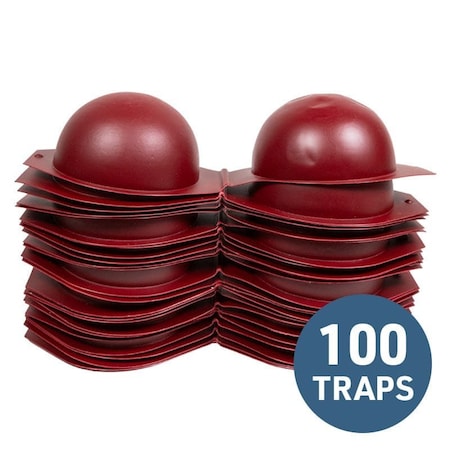 Olson Products Apple Maggot Fly Traps, PK100 RCSPE100