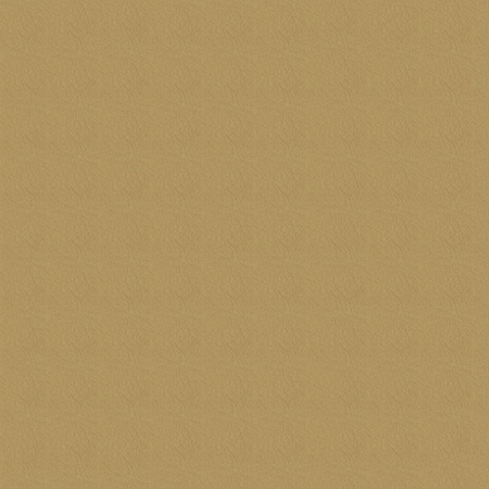 Abbeyshea Whisper, PVC Coated Faux Leather, Contract Grade, Upholstery Fabric, Camel WHISPWHI2118