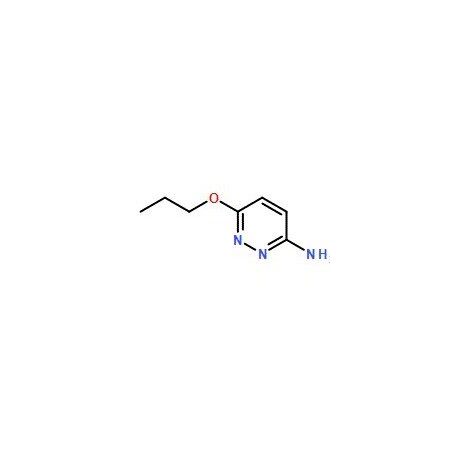 Ak Scientific 6-Propoxypyridazin-3-amine (5g), CAS 90008-50-7 W9280-5g