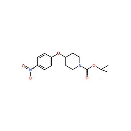 Ak Scientific 1-BOC-4-(4-nitrophenoxy)piperidine (1g), CAS 138227-62-0 V2863-1g