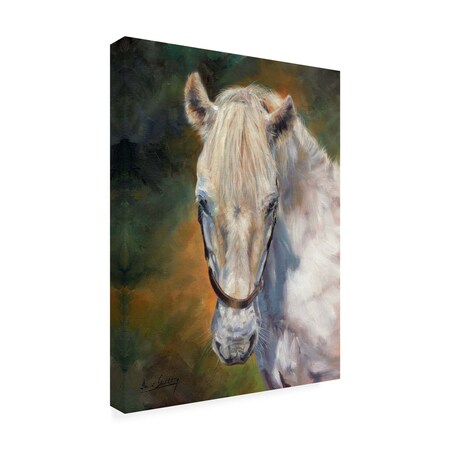 Trademark Fine Art Outdoor Canvas Art - David Stribbling 'white horse' Wall Art for Patios, or Gardens GRL01604-OC2432WR