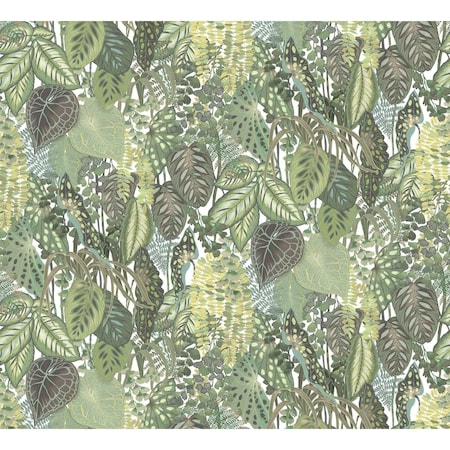 York Wallcoverings Greenery Cotton Wall Mural GO8332M