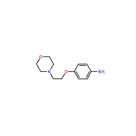 Ak Scientific 4-(2-Morpholin-4-ylethoxy)aniline (1g), CAS 52481-41-1 Y9336-1g