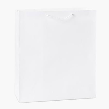 Nashville Wraps White Kraft Gift Bags, Queen 16x6x19, 10PK WTQMWH