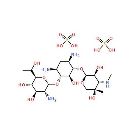 Ak Scientific Geneticin disulfate (5g), CAS 108321-42-2 X4648-5g
