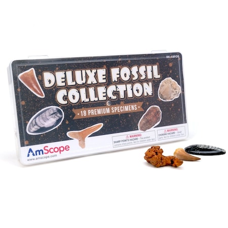 Amscope Kid's Deluxe Fossil Collection w/18 Unique Specimens and Full Color Identification Card RK-18FOS