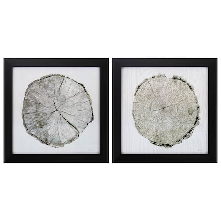Homeroots 14" X 14" Dark Wood Toned Frame Woodland Years, Set Of 2, 2PK 365764