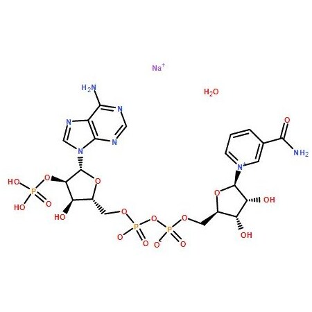 Ak Scientific Beta-nicotinamide adenine dinucleotide phosphate sodium salt hydrate, oxidized form (250mg), CAS 69 6180AH-250mg