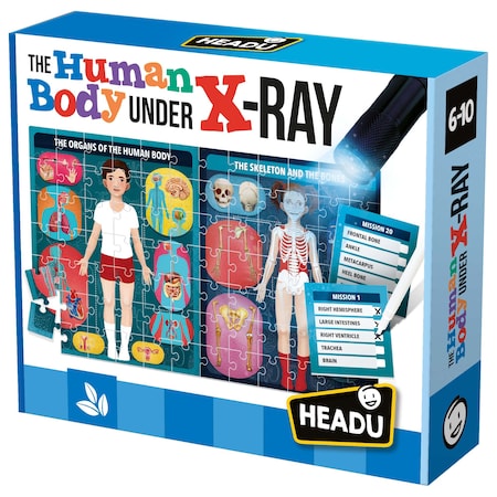 Headu The Human Body Under X-Ray EN22762