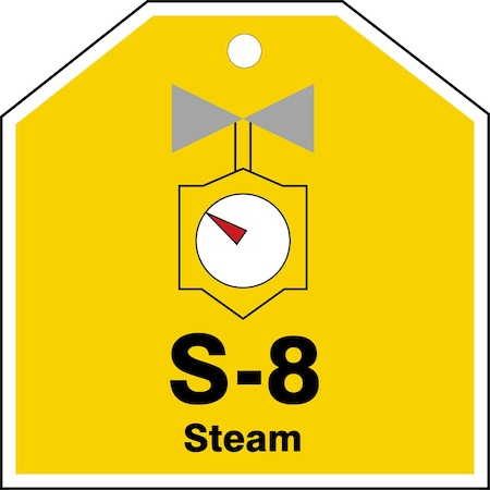 Accuform Energy Source ID Tag, S-8 STEAM, 2.5in x 2.5in, Plastic, 5PK TDJ108VPM