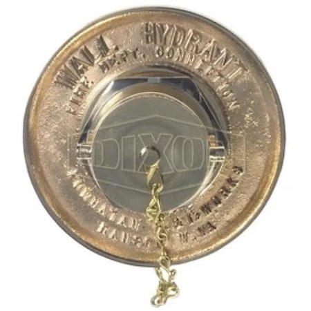 Dixon The Right Connection 23-283 Single Hydrant Connection, 2-1/2 in, FNPT x MNST, Cast Brass, Domestic MOCA250F