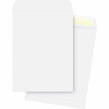 Business Source Catalog Envelope, White, Wove, PK250 BSN42103