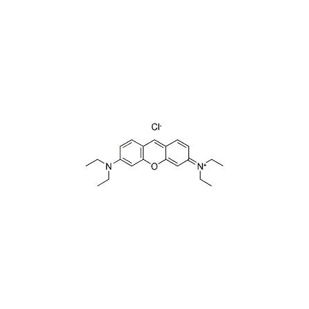 Ak Scientific Pyronine B (25g), CAS 2150-48-3 M870-25g