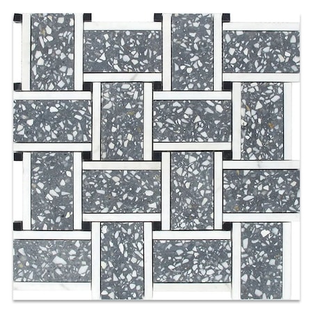Apollo Tile 12x12 Gray, White Terrazzo, Dolomite, Limestone Marble Wall and Floor Tile 5.08 sq ft/case, 5PK APLVNZ8808BA