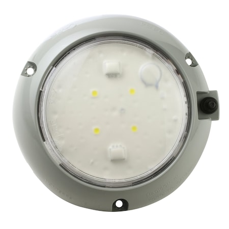 Grote Dome Lamp, Surface Mnt, LED, Dia 5 29/32 In 61171